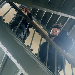 Prvnci - No Response