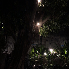 Đồi Gió (demo) - Horizon