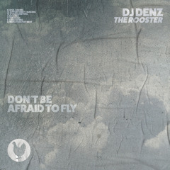 Don't Be Afraid to Fly