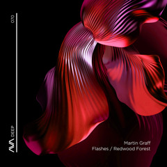 Flashes (Extended Mix)