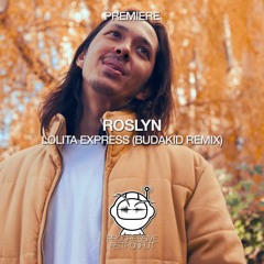 PREMIERE: Roslyn - Lolita Express (Budakid Remix) [Salmiak]