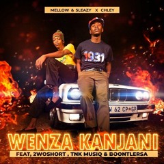 Mellow & Sleazy & Chley - Wenza Kanjani (feat. 2woshort, TNK MusiQ & Boontle SA)