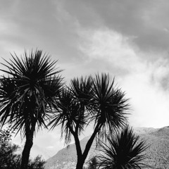 Franksen - Loose Grooves - June 2016