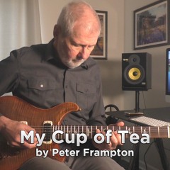 My Cup Of Tea | Peter Frampton | Hank Marvin | Guitar Duet Cover