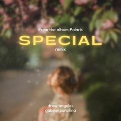Special (remix) with Gabriel Parafina