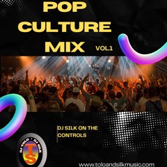 Dj Silk Pop Culture Mix Vol.1
