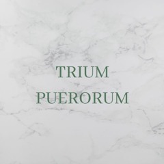 Trium Puerorum