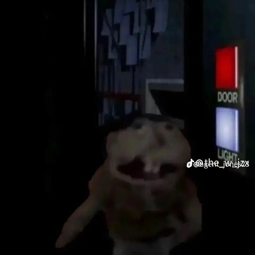 Number