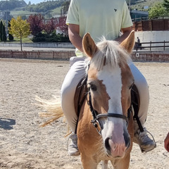 step by step zMix style