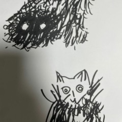 TilliT Mix 9 (고양이 크럽 )