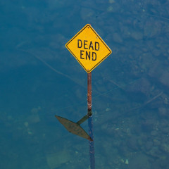 NOTICE