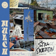 01 Thunder In The Garden