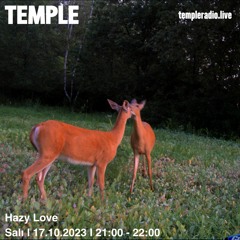 Temple Radio - Hazy Love 17102023