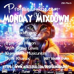 #120 Profound Radio  Progressive House @djstuwilson