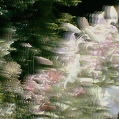 Mix 03: "NATURE IS OUR CLUB" by Josh Mehling