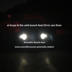 DJ Chris van Deer @ el brujo & the wild bunch feat Chris van Deer