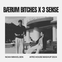Bærum Bitches x 3 Sense (Noah Mikkelsen Mashup) BUY = FREE DL