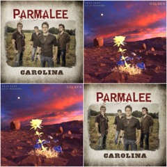 Golden Carolina (Parmalee x ZEVY)