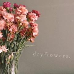 dryflowers