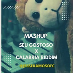 MASHUP SEU GOSTOSO X CALABRIA RIDDIM (JESSE DJ)