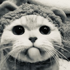 Catsorsmth