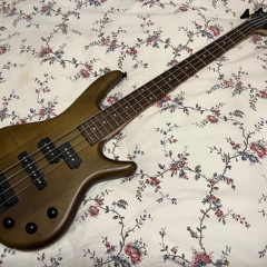 Bass Fly Rig demo (w/ MiKro)
