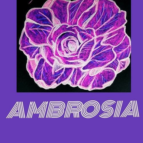 AMBROSIA FT. ROYALROSE