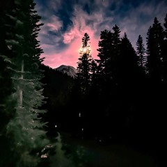 Into Darkness