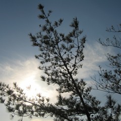 地底人の憂鬱 / リコーダー４重奏  recorder quartet