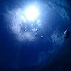 Rise to the Surface