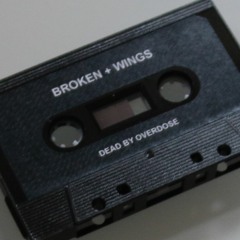 Broken + Wings - Various Artists