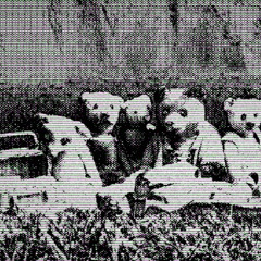 Nihilist Picnic