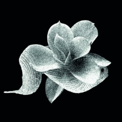 SYMBIOSIUM_Audioguide : Marie-Sarah Adenis - Tousteszincs