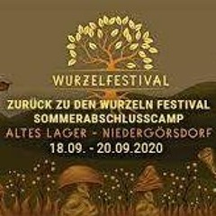 Wurzelfestival 2020@ Tomiac-Vinylset-Technostage