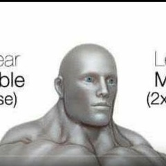 MEMES
