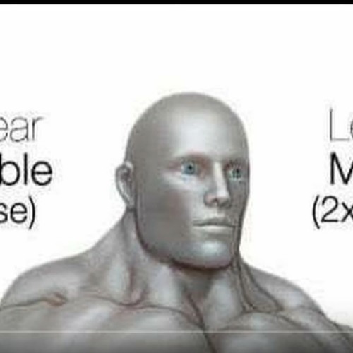 MEMES