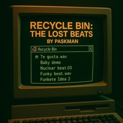 RECYCLE BIN - THE LOST BEATS By PASKMAN