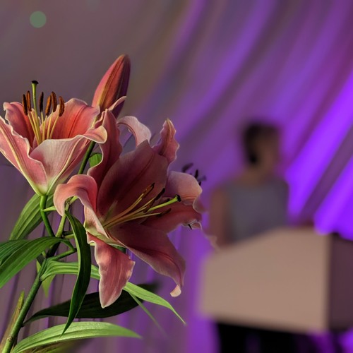 ❤❤ One of these summer nights ❤❤ (Lana del Rave vs. Micha von Oben)