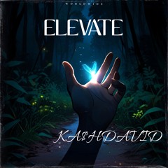 KA$HDAVID - Elevate
