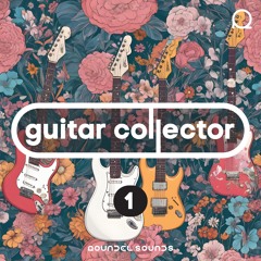 Guitar Collector 1
