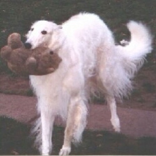 for all that i apologize for prod crayon