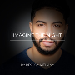 Imagine The Night