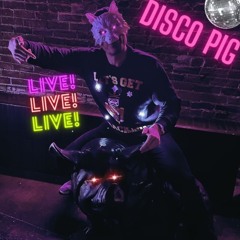 ViaLOBO Live @ DISCO PIG Denver