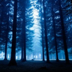 mystic forest lofi deep chill