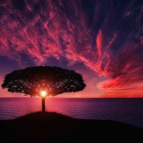 Light out of Darkness 2023