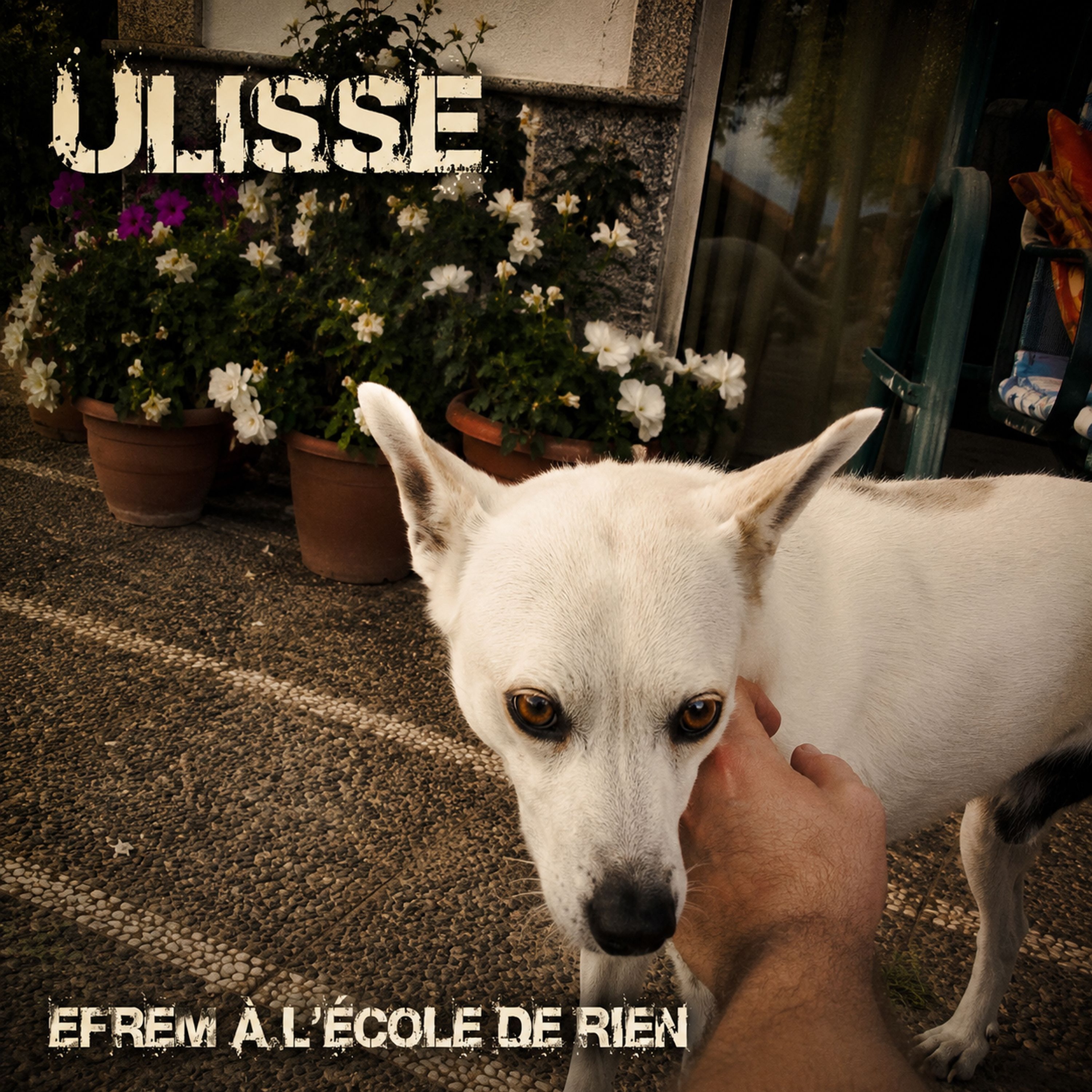 Ulisse episode artwork