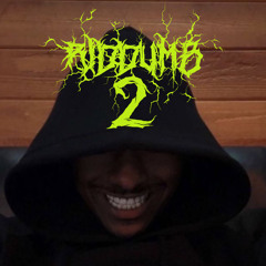 RIDDUMB 2