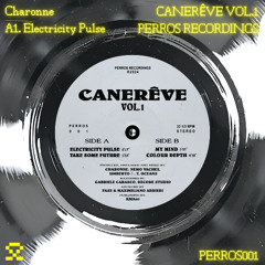 PREMIERE: A1. Charonne - Electricity Pulse (PERROS001)