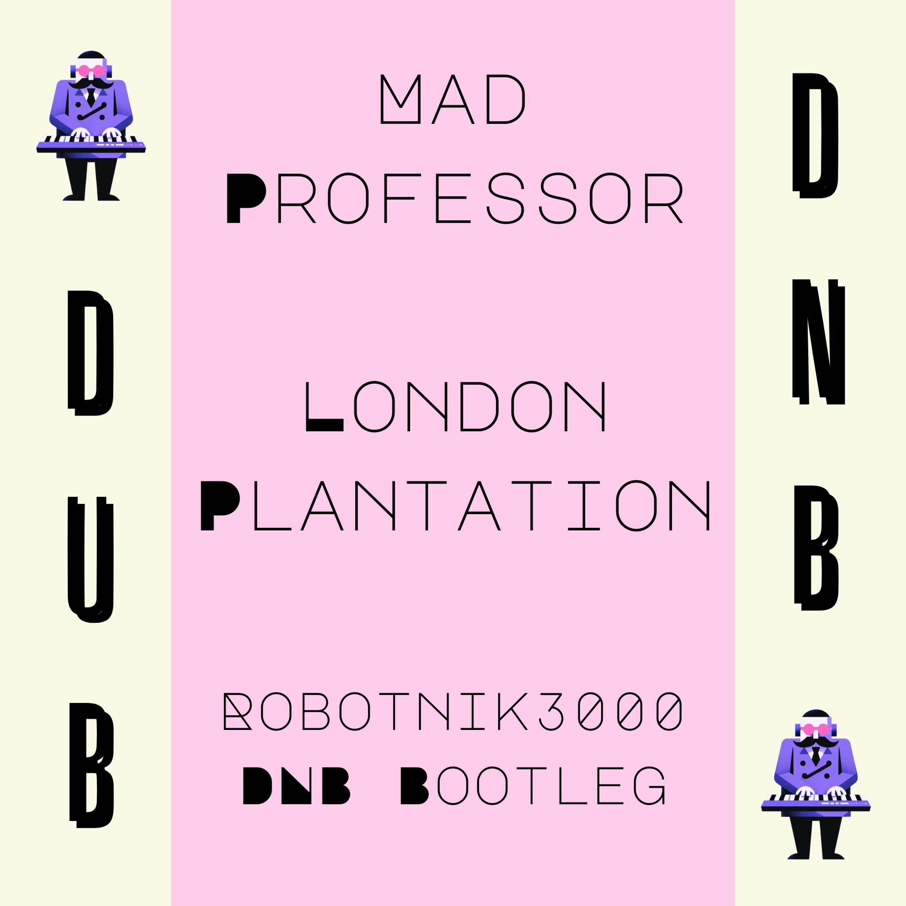 Robotnik3000