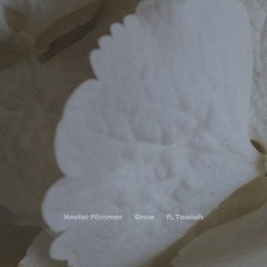 Grow (feat. Marysia Osu & Tawiah)